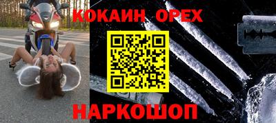 трава Сланцы