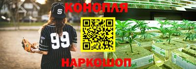 трава Сланцы