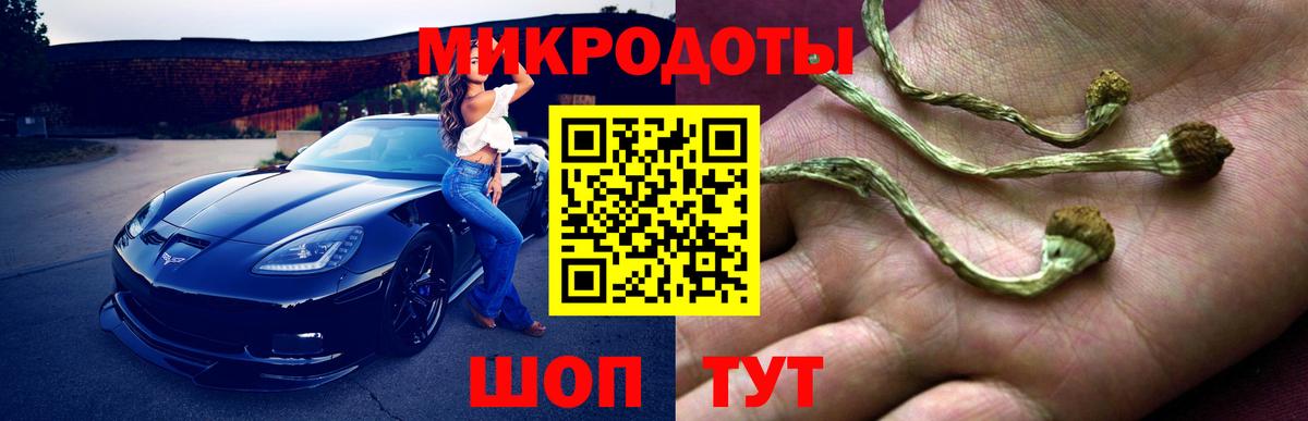 Галлюциногенные грибы Psilocybe  Вход с VPN  где продают наркотики  Саранск 